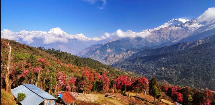 Annapurna Cultural Trek