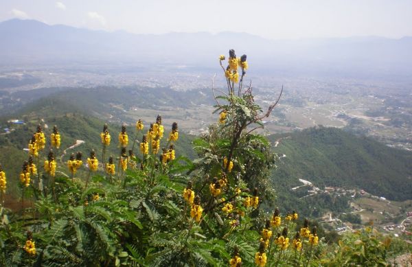 Nagarjun Hill Day Hiking tour