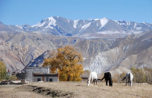 Mustang Valley Trek